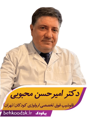 دکتر امیرحسن محبوبی