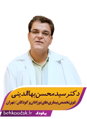 دکتر سید محسن بهاالدینی